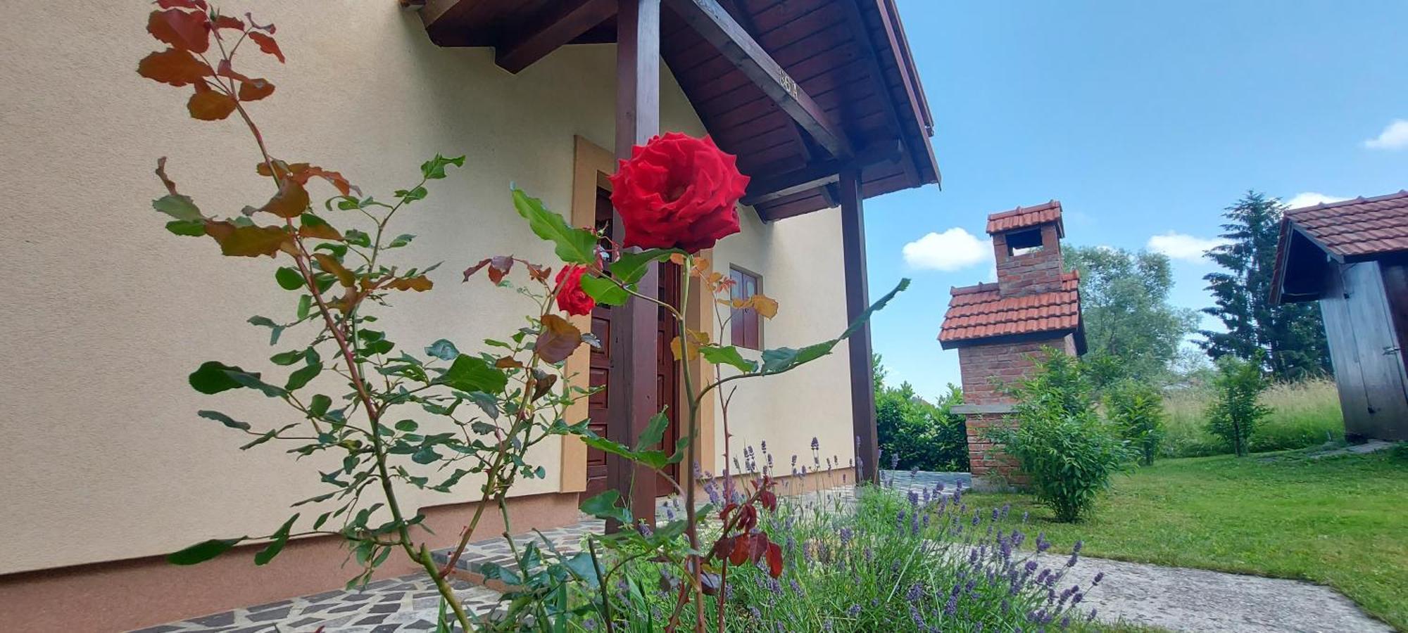 House And Vale Duga Resa